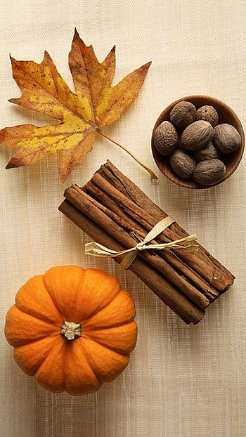 Pumpkin spice twist, Fall foliage background, Warm and cozy, Autumn vibes HD phone wallpaper