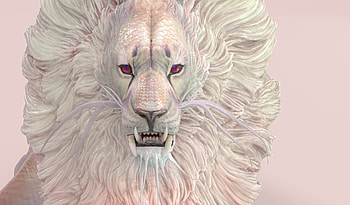 Dragon, siman, leu, white, pink, fantasy, tang mooye, lion, creature HD wallpaper