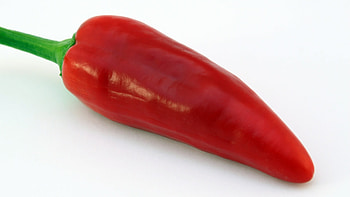 Jalapeno chili variety, Heat-packed peppers, Fiery flavors, Culinary delight HD wallpaper