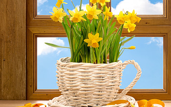 Still life, basket, flowers, yellow HD wallpaper
