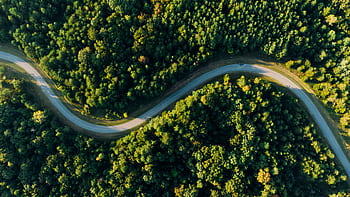 A winding road meanders through lush green forest from a high angle view. HD wallpaper