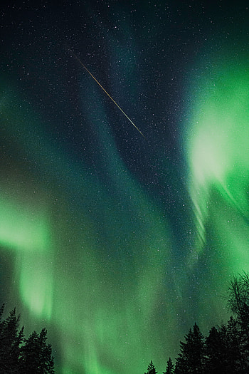 Nature, Trees, Sky, Night, Northern Lights, Aurora Borealis, Aurora HD phone wallpaper