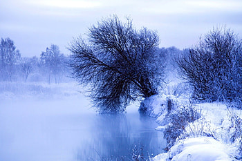 Winter Morning, winter, blue, river, winter splendor, morning, peaceful, misty, beauty, mist, fog, snow, foggy, trees, water, winter time, pathway, snowy, frozen, path, landscape, cold, beautiful, tree, view, nature, sky, lovely, early morning, splendor HD wallpaper