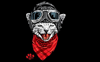 The happy adventurer, pisica, black, fantasy, red, cat, jun087, scarf, hat HD wallpaper