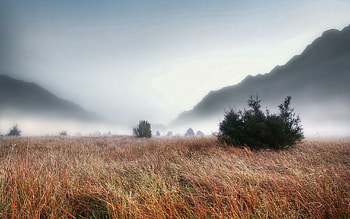 Nature, Grass, Mountains, Autumn, Fog, Thick, Withered, It's A Sly, Haze, Gloomy, Creepy, Ate HD wallpaper