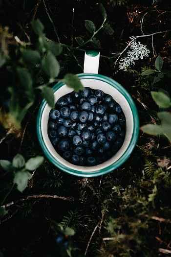 Food, Grass, Leaves, Bilberries, Cup, Berry HD phone wallpaper