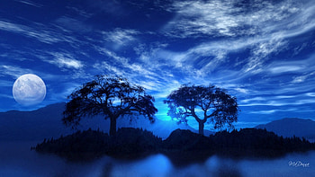 Island Mist, night, blue, island, grass, misty, mist, fog, foggy, clouds, trees, sky, water HD wallpaper