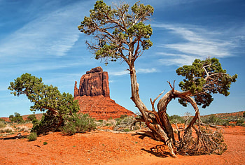 Monument Valley, fun, desert, cool, nature, mountain HD wallpaper