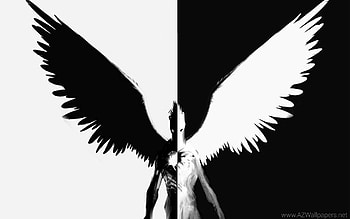 Half Angel, Half Demon 30581 HD wallpaper