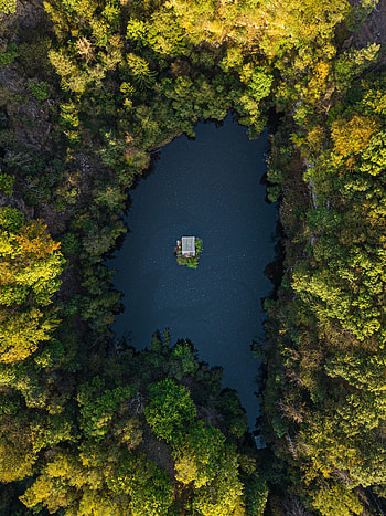 Nature, Water, Trees, View From Above, Lake, Forest HD phone wallpaper