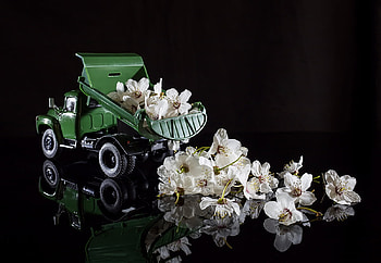 Spring, Flowers, Whte, Decorations HD wallpaper