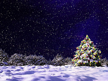 Silent night, night, alone, stars, tree, snow, christmas, trees, sky HD wallpaper