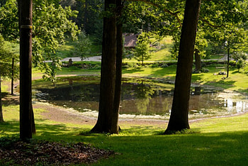 Backroads Pond, backyard, scenic pond, summer pond, tranquil pond, back roads HD wallpaper