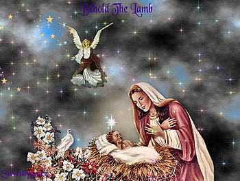 Behold the lamb, god, christmas, religion, jesus christ, christianity HD wallpaper