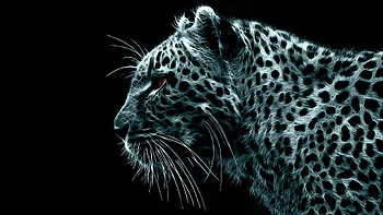 : crazy cool Crazy Cool . HD wallpaper
