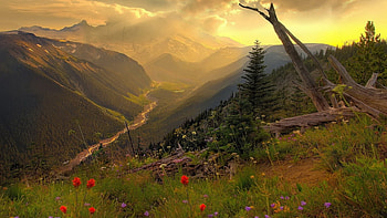 Summer landscape painting, summer, landscape, nature, painting HD wallpaper