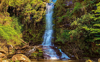 Erskine Falls, Victoria, Australia, river, trees, rocks, plants, water HD wallpaper