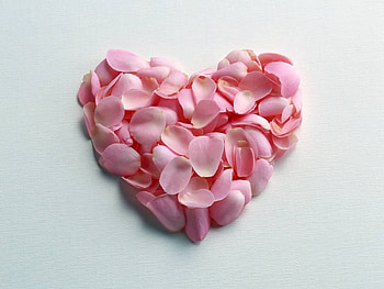 Holidays, Background, Hearts, Love, Valentine's Day HD wallpaper