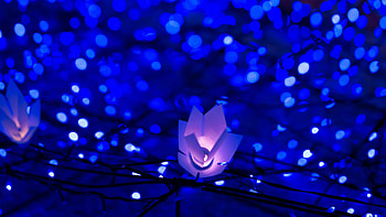 Garland glare bokeh, Christmas and New Year, Holiday celebration, Festive HD wallpaper