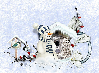 Perfect Little Snowman, winter, snowman, holiday, bird, snow, bird house HD wallpaper