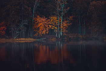 Lake Reflection, sea, Lake, Nature, Reflection HD wallpaper