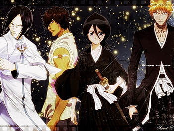 The Bleach team, team, bleach, anime, friends HD wallpaper