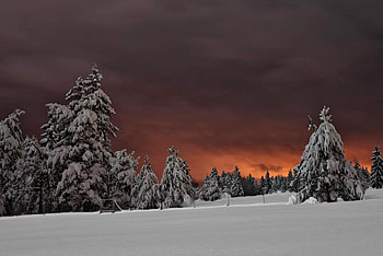Winter sunset, winter, amazing, snow, sunset HD wallpaper