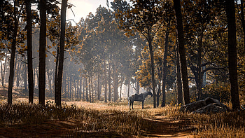 Q - Red Dead Redemption II, Red Dead Redemption 2 HD wallpaper