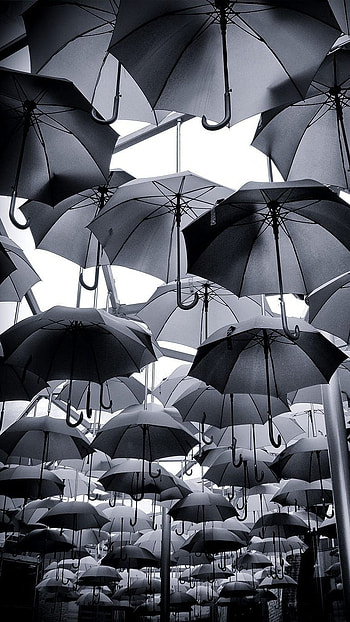 Black Aesthetic, Umbrellas HD phone wallpaper