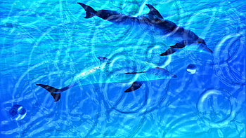 Watery 3D HD wallpaper