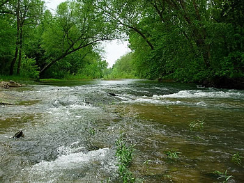 Fast Rapids, trees, sky, rapid, water HD wallpaper
