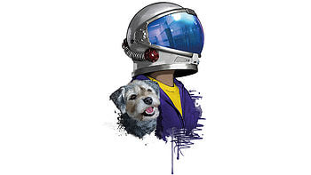 Rider Helmet Dog Minimal , biker, artist, artwork, digital-art HD wallpaper