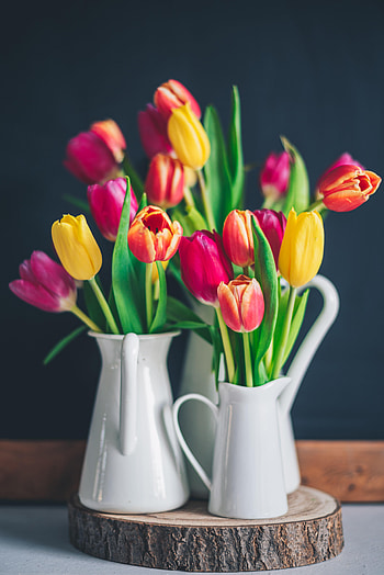 Flowers, Tulips, Multicolored, Motley, Bouquet HD phone wallpaper