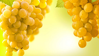 Vibrant grapes, High-quality , Impressive , Tempting food HD wallpaper
