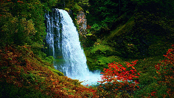 An Oregon Waterfall with Autumn Leaves, forest, river, fall, trees, colors, usa HD wallpaper