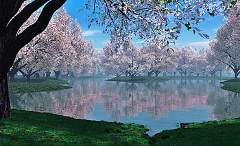 beautiful,lake, gorgeous, beautiful, lake, tree HD wallpaper