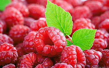 Fruits, Food, Raspberry HD wallpaper
