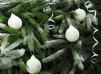 Holidays, Snow, Christmas, Holiday, Needles, Christmas Decorations, Christmas Tree Toys, Christmas Tree HD wallpaper