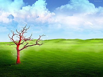 Fantasy landscape, landscape, grass, sky, tree HD wallpaper