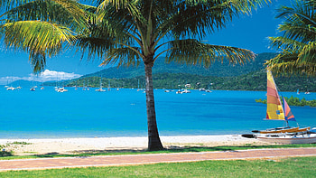 Nature, Sea, Beach, Sand, Yachts, Palms, Tropics HD wallpaper