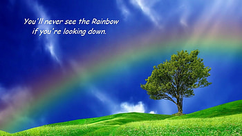 Keep Your Head Up, sky, rainbow, field, tree HD wallpaper