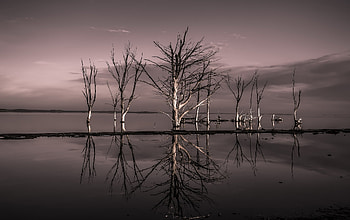 Trees, sky, lake, cloud HD wallpaper