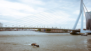Rotterdam Skyline, Travels, Aesthetic Views, Urban Life HD wallpaper