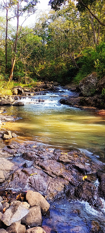 Amarkantak, bank, natural_landscape HD phone wallpaper