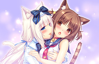 Nekopara, Azuki (Nekopara), Anime, Vanilla (Nekopara) HD wallpaper