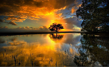 Sunset, lake, cloud, tree HD wallpaper
