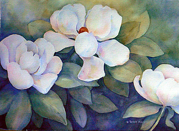 Enchanting Magnolia, delicate, white, pretty, petals, scent, sophistication HD wallpaper