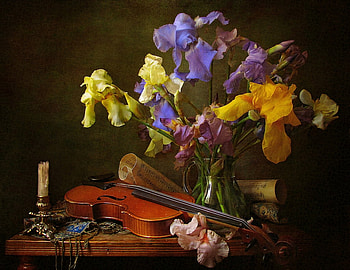 Irises and violin, Flowers, Violin, Notes, Irises, Candle HD wallpaper
