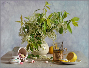 Still life, soft, white, nature, flowers HD wallpaper