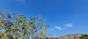 Hiking in Greater San Diego County – Landscape graphy, tree, Southern California, California, landscape, hiking, graphy, nature HD wallpaper